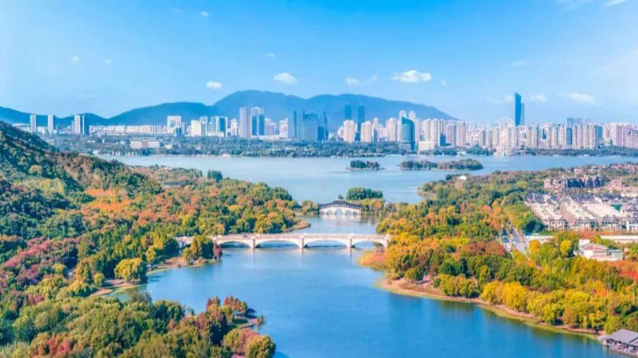 新春“十条”大礼包来了！条条暖心！